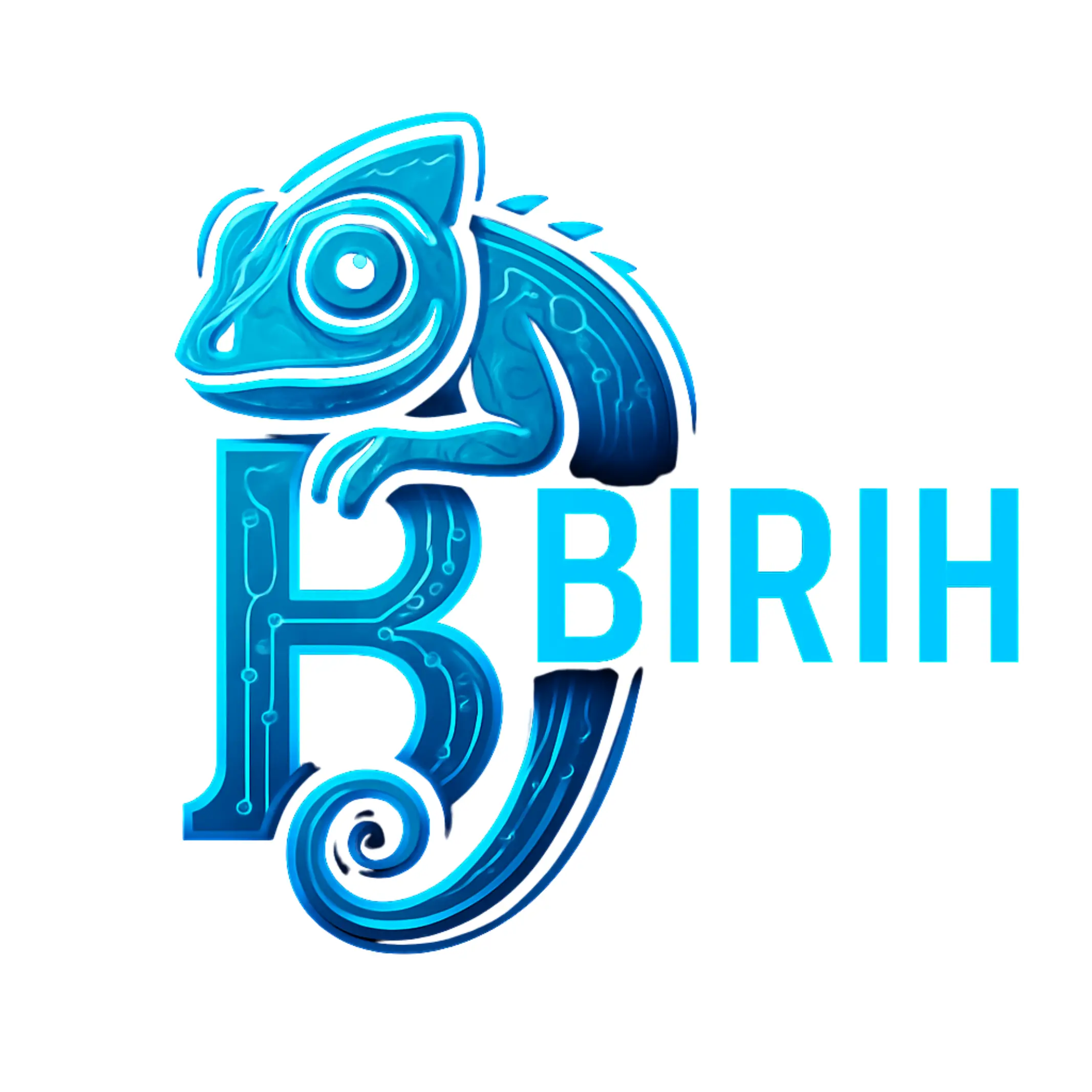 Logo BIRIH